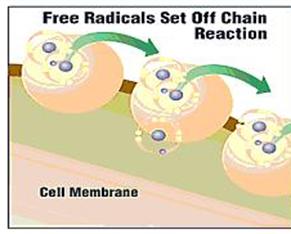 Amount of free radicals exceeding the amount of antioxidants in our body, is the cause of early deterioration, degeneration and aging of our body. 